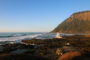 Cape Perpetua