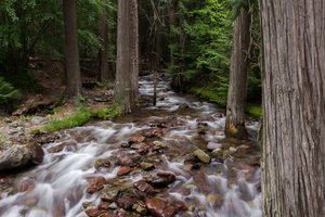 Babbling Brook
