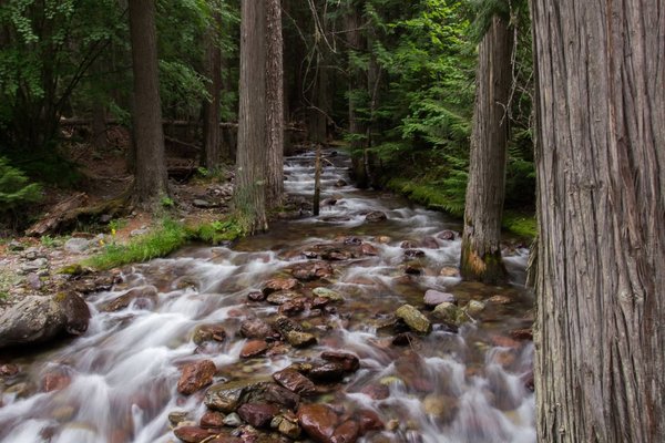 Babbling Brook