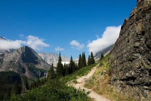 Glacial Trails