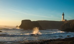 Yaquina Head